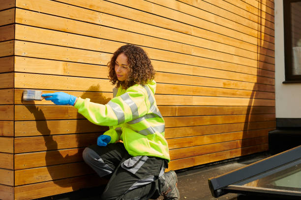 Best Siding Painting and Refinishing  in Taos Pueblo, NM